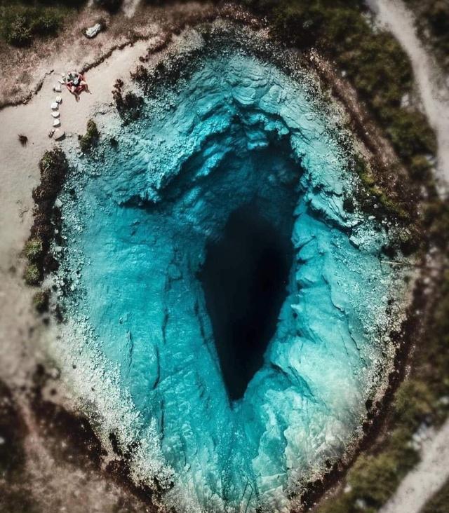 51直播在线观看