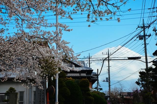 治愈视频 治愈视频色彩和声音