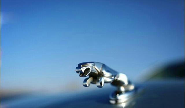 cola视频 以动漫、视频知识等内容闻名