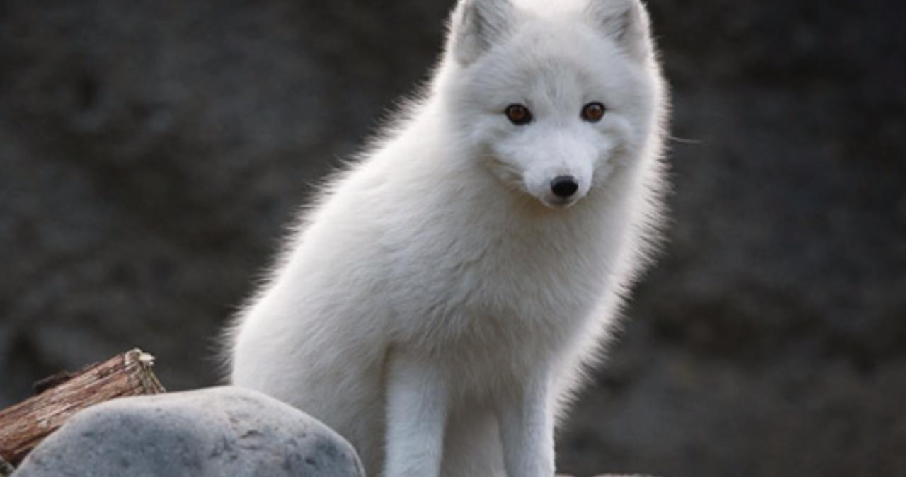 里番在線看 也不符合我的番線内容政策