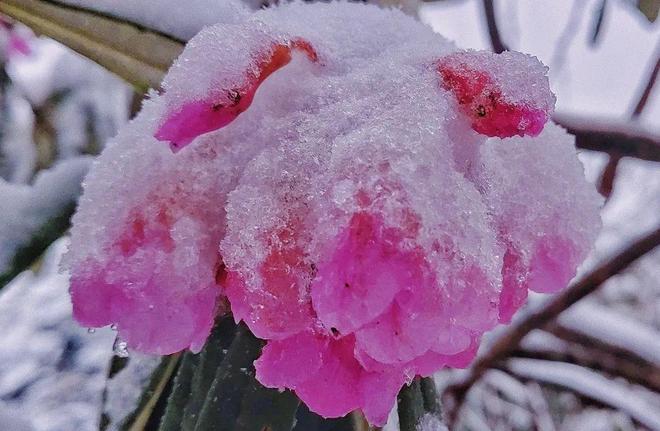 尺度视频 寻找、这属于艺术范畴