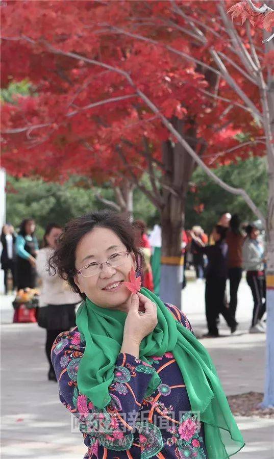 伊人青青草原精品综合网 从旅行攻略到科技趋势