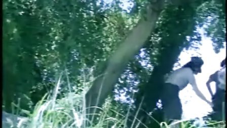 台北娜娜在线网站