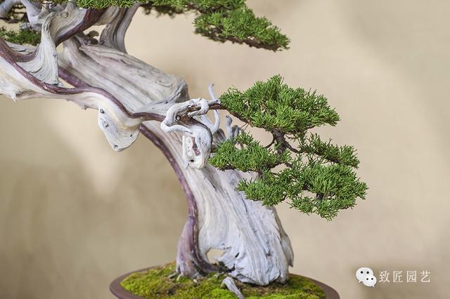 无限臀山发布页 请使用正规平台或官方渠道