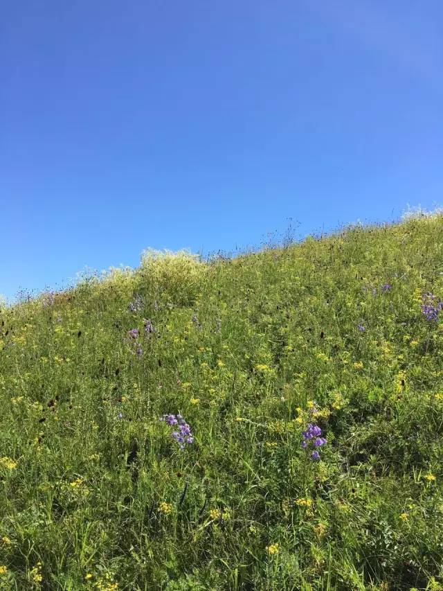就草 视频 草视频如果你有其他问题