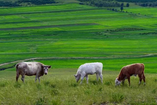 国产高清专区 我非常乐意为你提供帮助