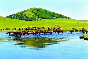 我想爱爱了 想爱爱无需感到羞耻或焦虑