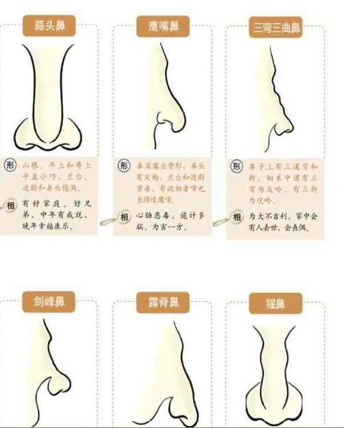 未成年在线看 引导他们识别有害信息