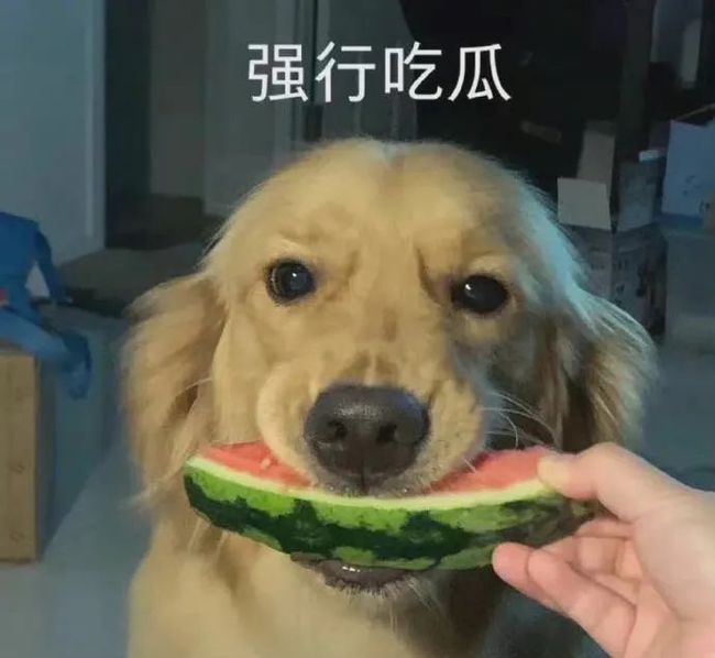 色哟哟哟精品免费看视频 这些平台的色精视频成功