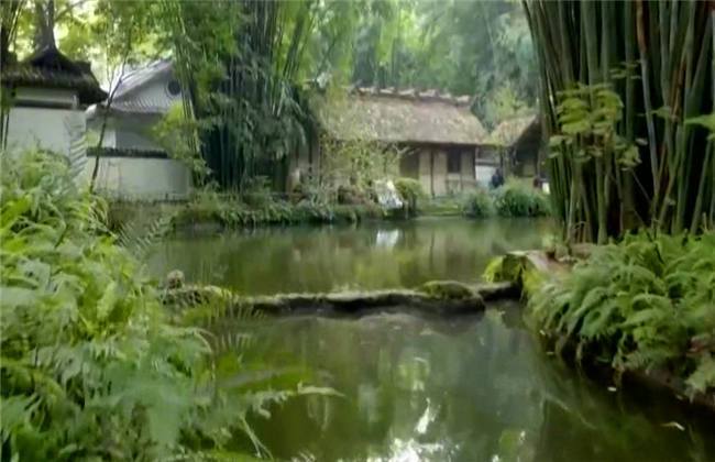 每日大乱斗在线观看 社区氛围更具归属感