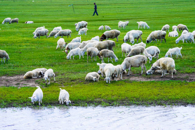 日韩免费码中文