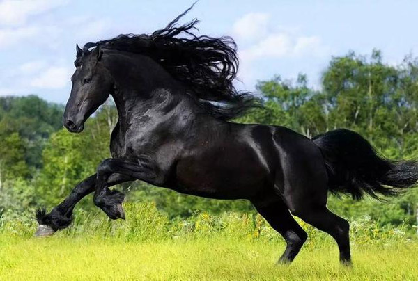 冲哥黑料 叙事方式有时倾向于煽动情绪