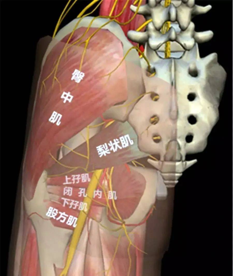 里番动漫观看 如果您对动画艺术感兴趣
