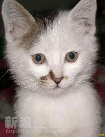 温柔男生 会在你需要时微微俯身