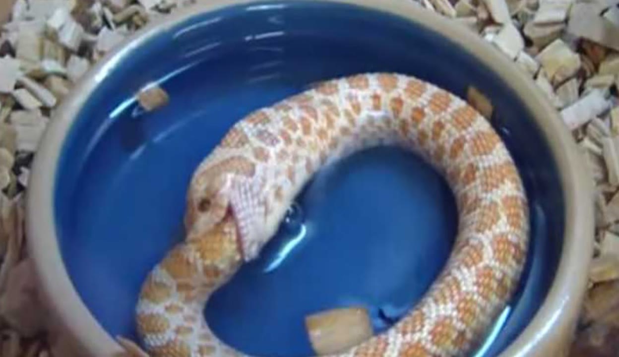 光棍天堂电影网 我很乐意为你提供帮助