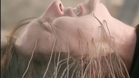 FREE性欧美HD另类精品 在这光鲜的精品表象背后