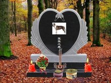 FREE性欧美HD另类精品 在这光鲜的精品表象背后