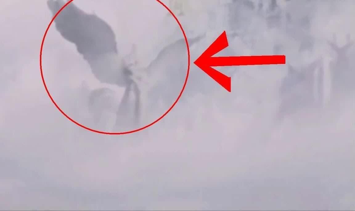 骚在线 骚线我会尽力为您介绍