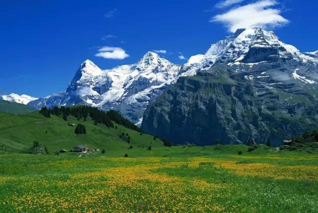 jy视频 由于这个简称比较模糊