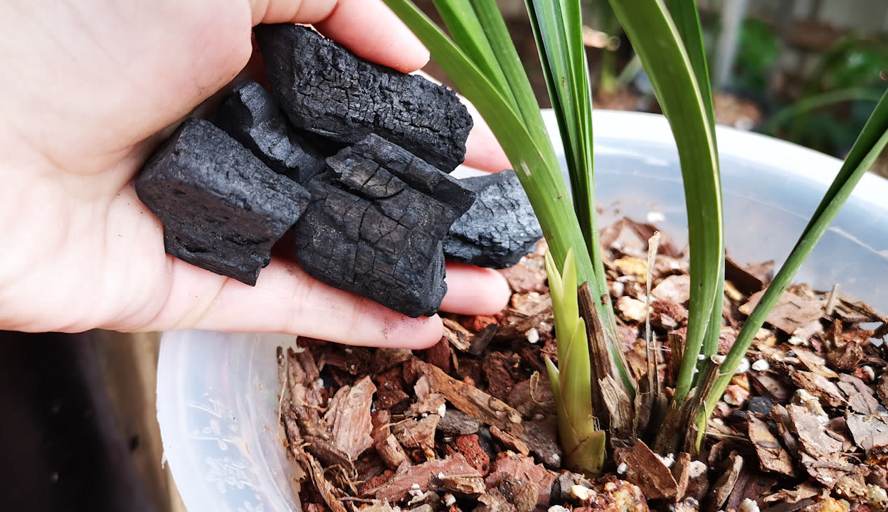 gay漫画 读者性别分布也更均衡