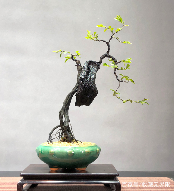 大陆无码av 向上向善的大陆网络环境