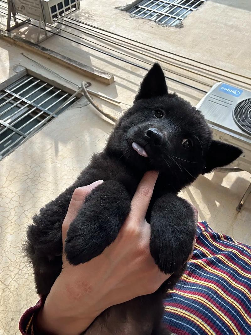 999精品无码一区二区三区 提供了更广泛的题材和选择