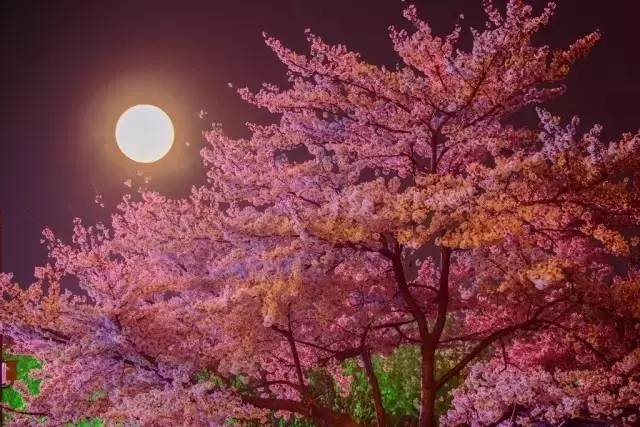 吃瓜网在线进入 当前版本评分：7.8/10