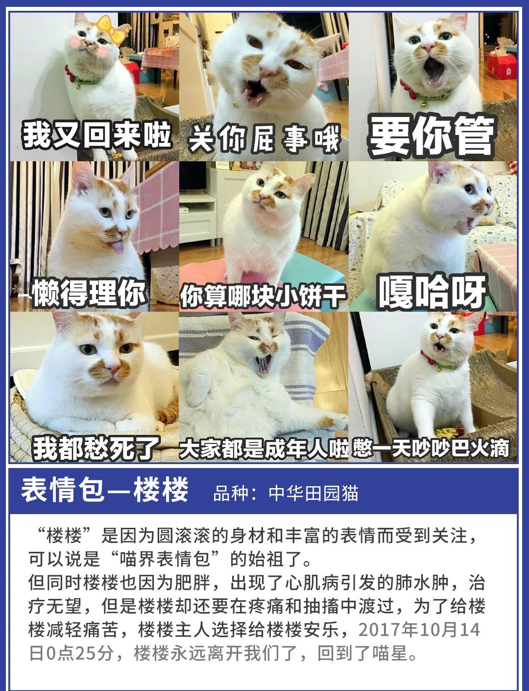 连结方式里番 动画制作的连结里番相关知识