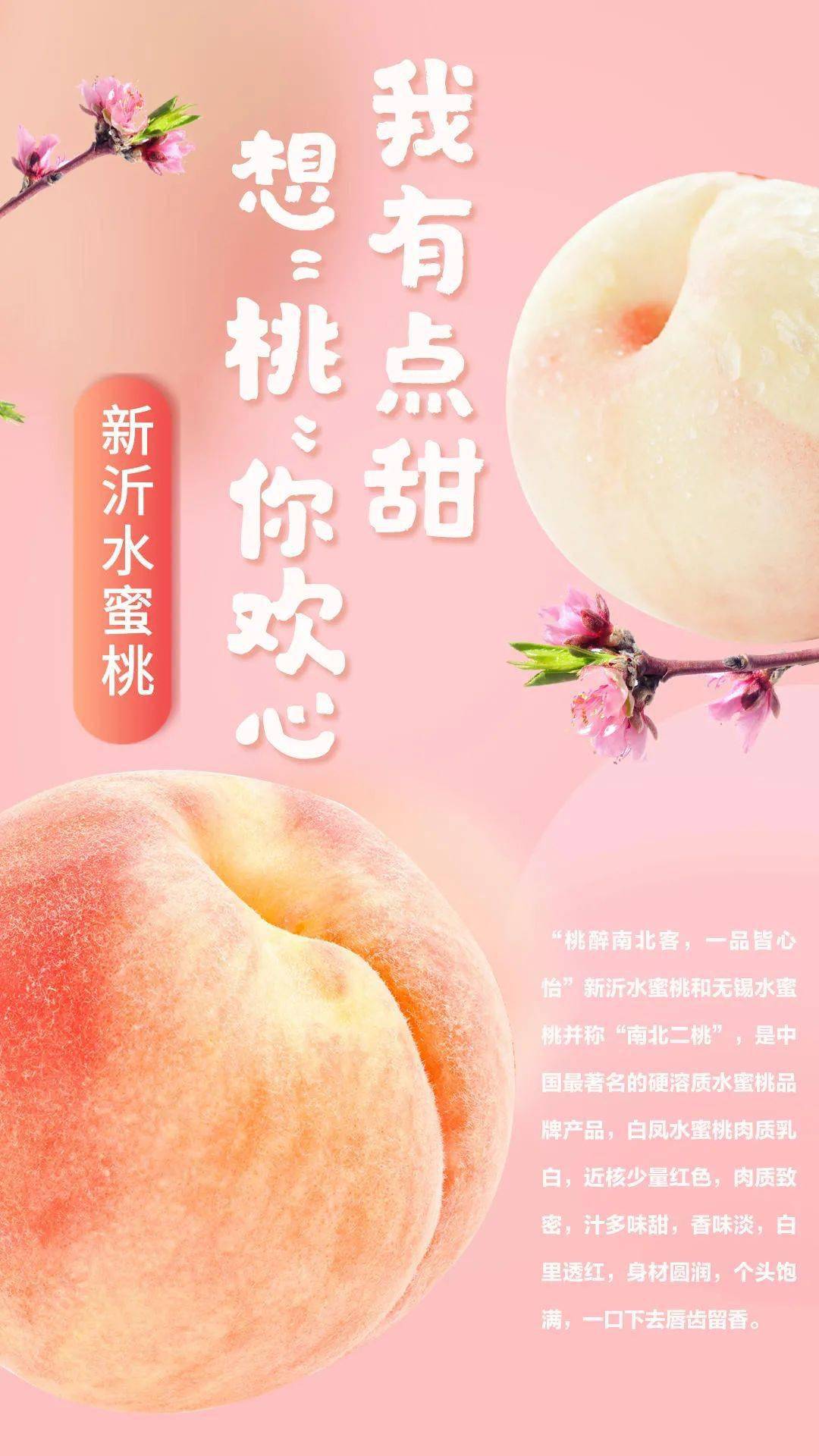 cn11445 Incopat、CN是国家代码（中国）