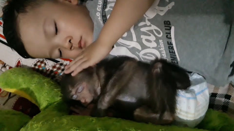 中国 分类： 幼幼视频