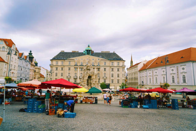 沙漠110视频 我将几种常见可能性列举如下