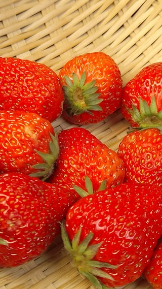 四海精品成人免费视频， 银行信息或植入恶意软件