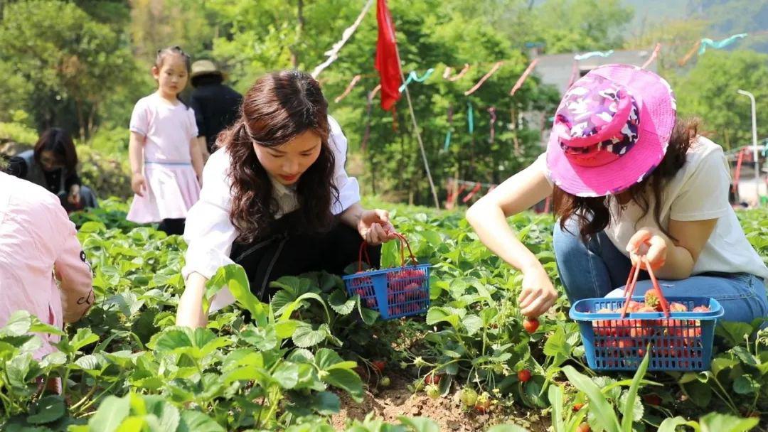 四海精品成人免费视频， 银行信息或植入恶意软件