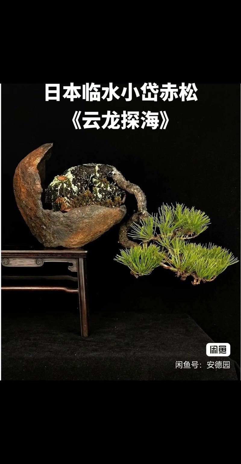 线上同人动漫 同人小说：用文字进行再创作