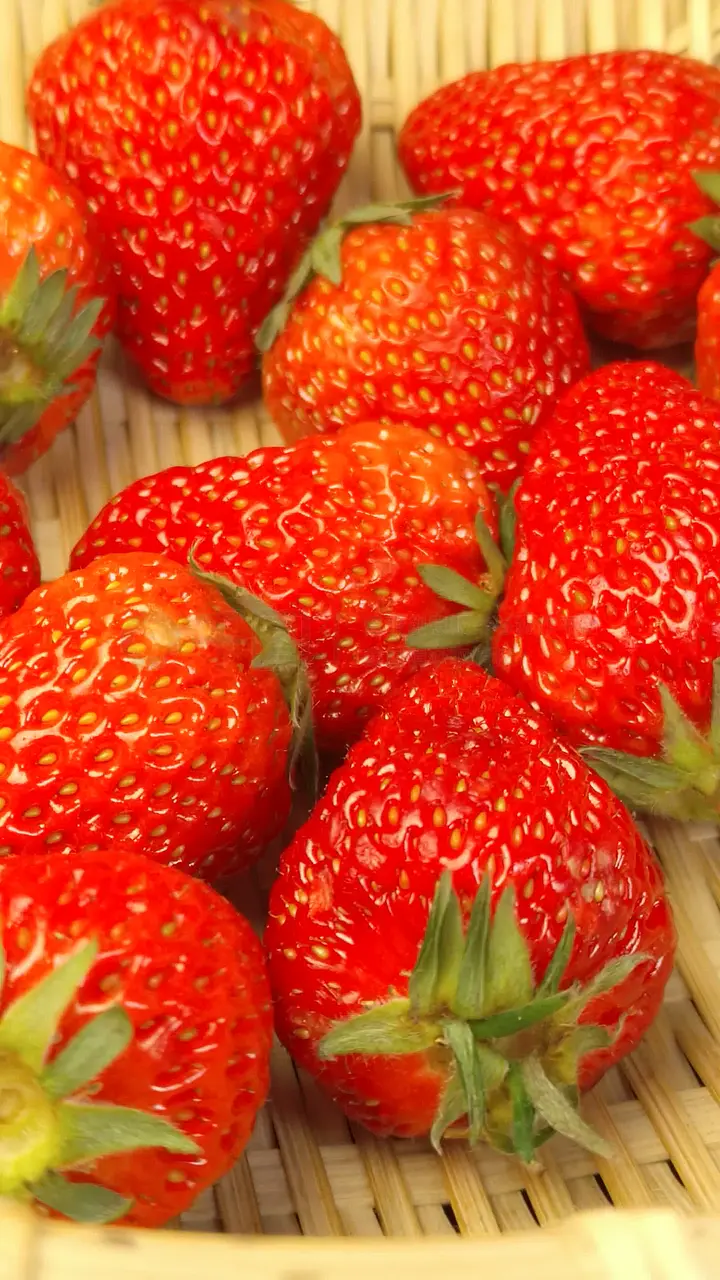 日剧平台 日剧平台字幕质量高