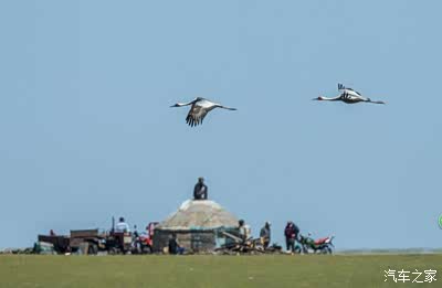 天美传媒免费入口