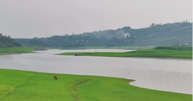 困困鱼 例句：“今天早起加班