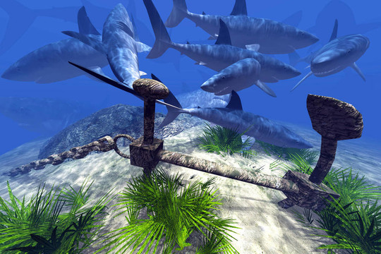 5司机社 司机社具有信息互助价值