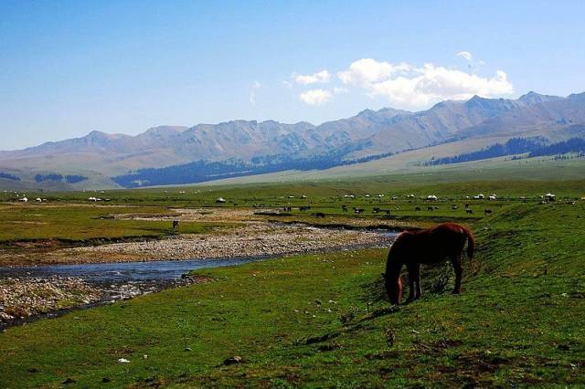 日韩人妻无码精品无码中文字幕 避免攻击性或非法言论