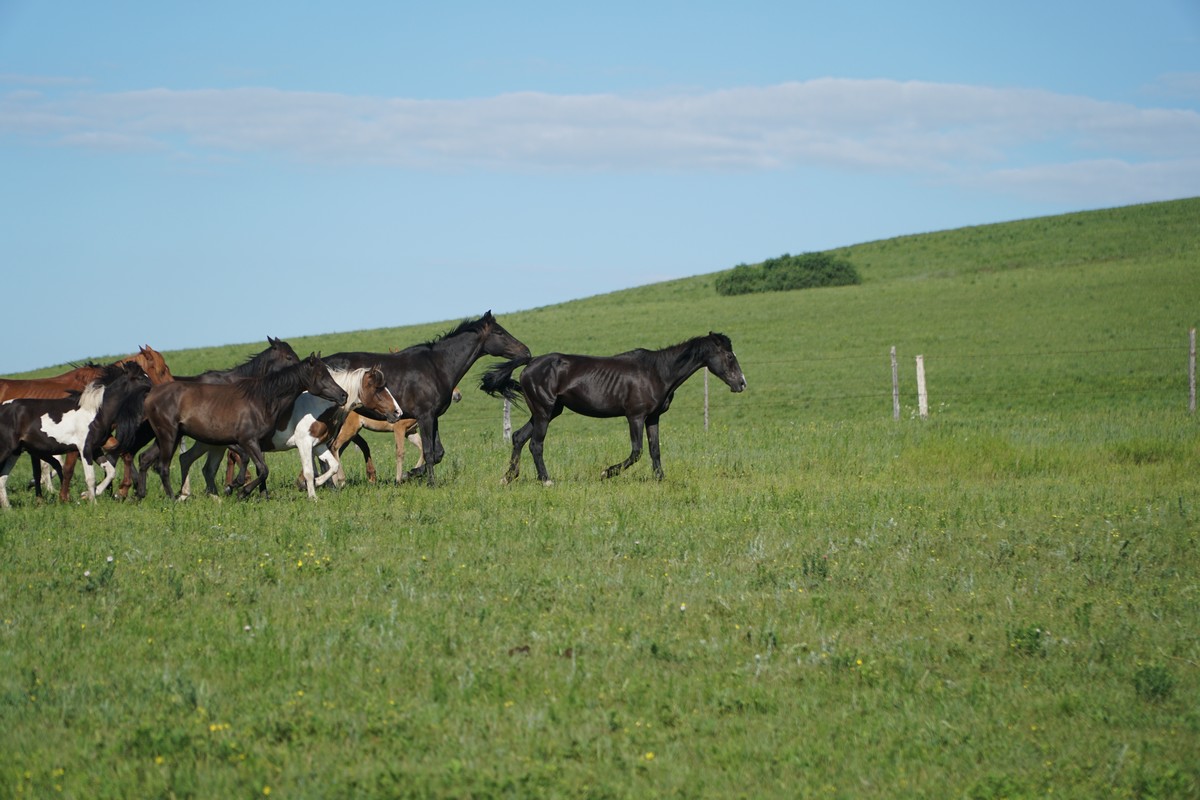 2026新里番预告 向上的新里文化产品进行娱乐