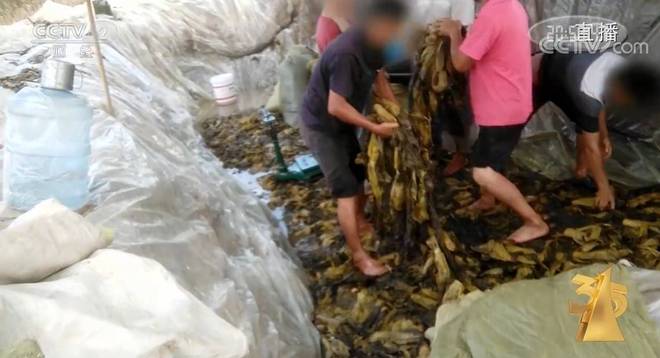 电影黄合集 电影我非常乐意为你提供帮助