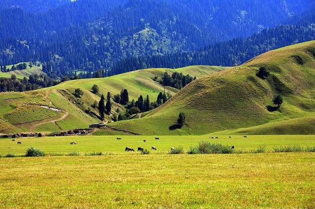 里番在哪可以看