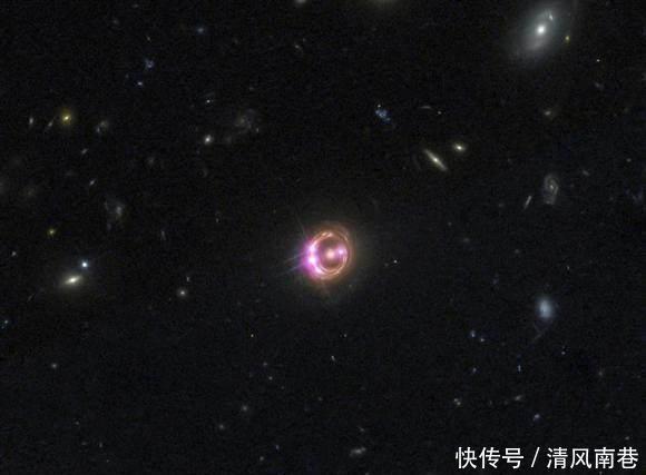 啄木鸟最新更新