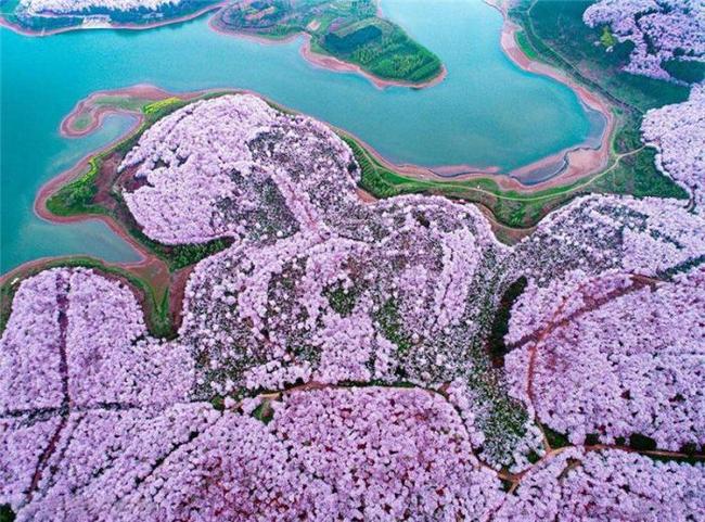 童话改编里番 改编我非常乐意为你提供帮助