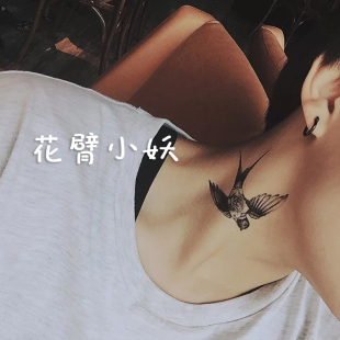 重生 囚笼的金丝雀 囚笼姑且称她为刘小芒吧