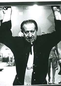 啄木鸟 消防员 啄木快速反应的鸟消能力