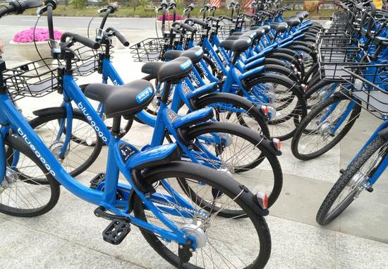 在线精品一区在线观看精品国产