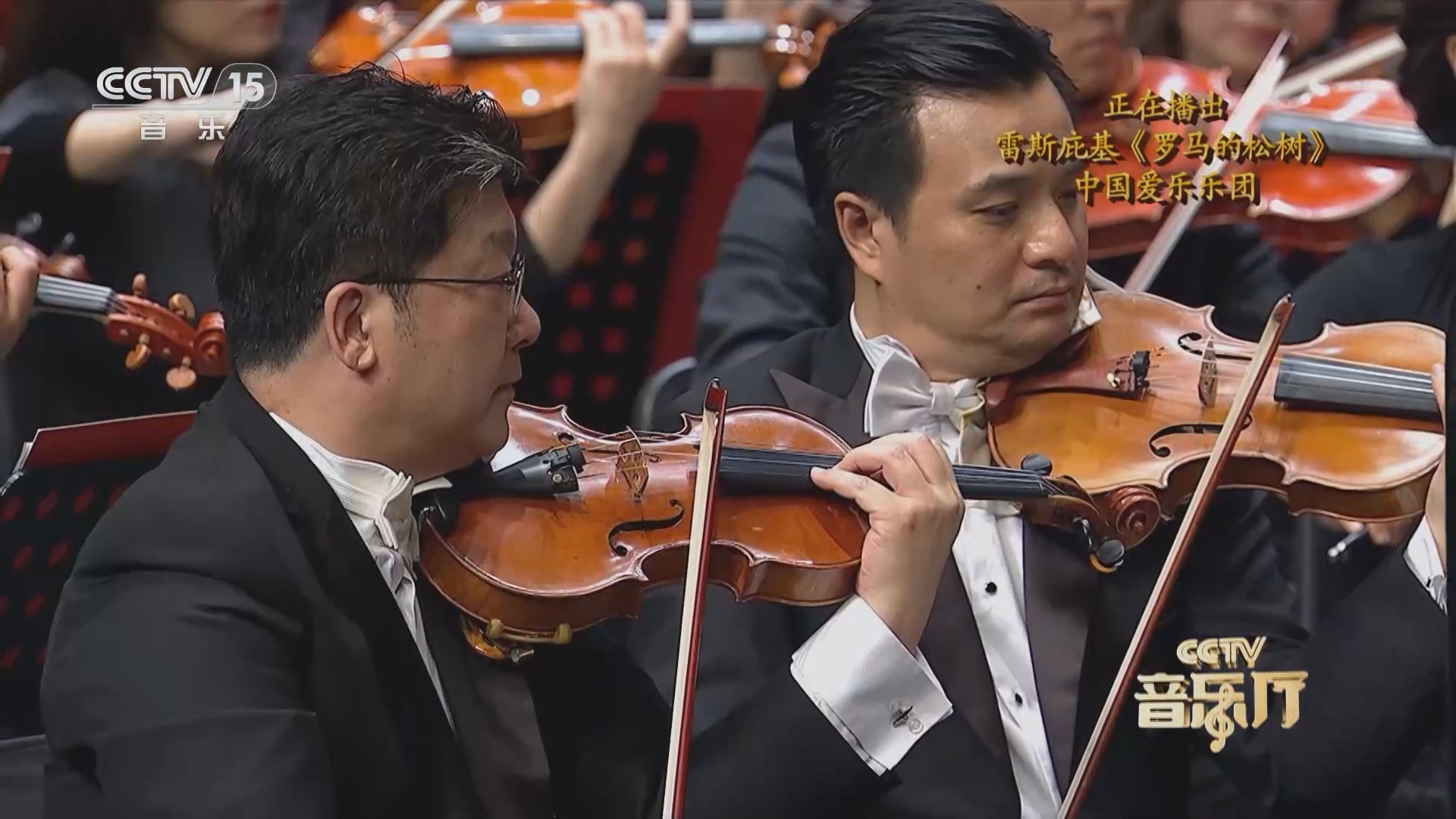 vcinieko国际版 我将能更好地帮您分析和查找