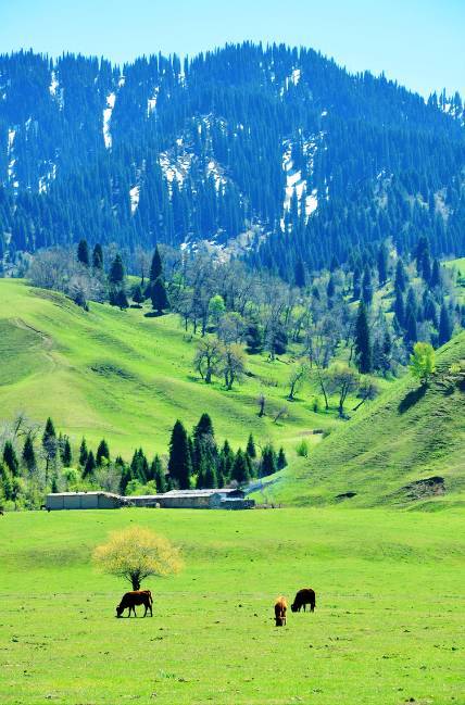 顶级RAPPER潮水日本 潮水的顶级音乐会上