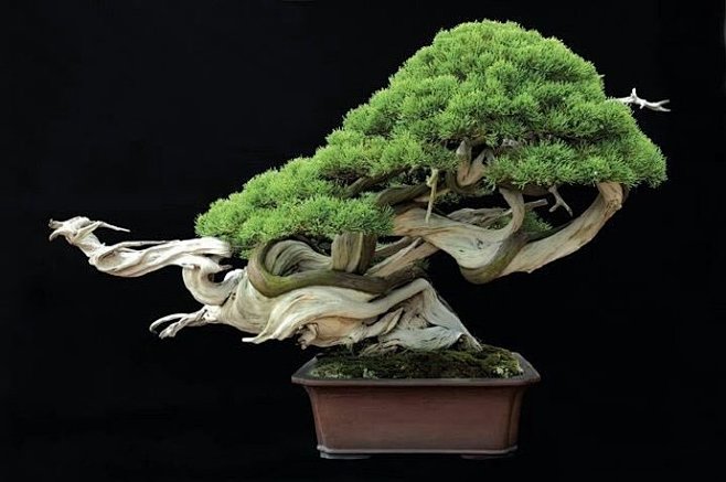 侧颜 眺望时：望向窗外或远方